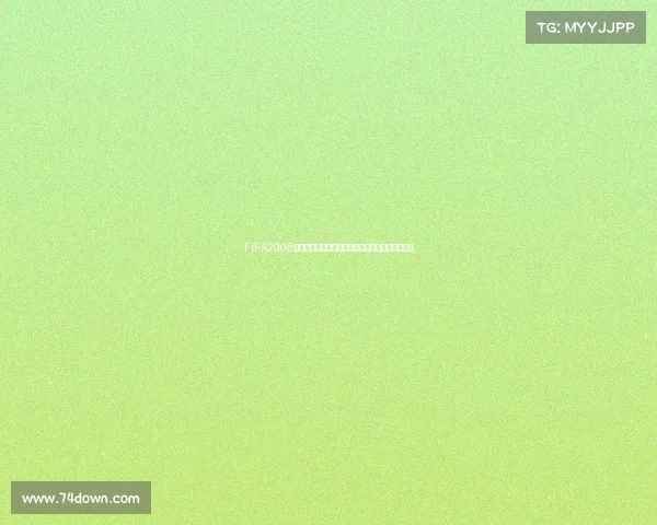 FIFA2008世界杯奖杯荣耀传奇见证绿茵巅峰时刻永恒记忆瞬